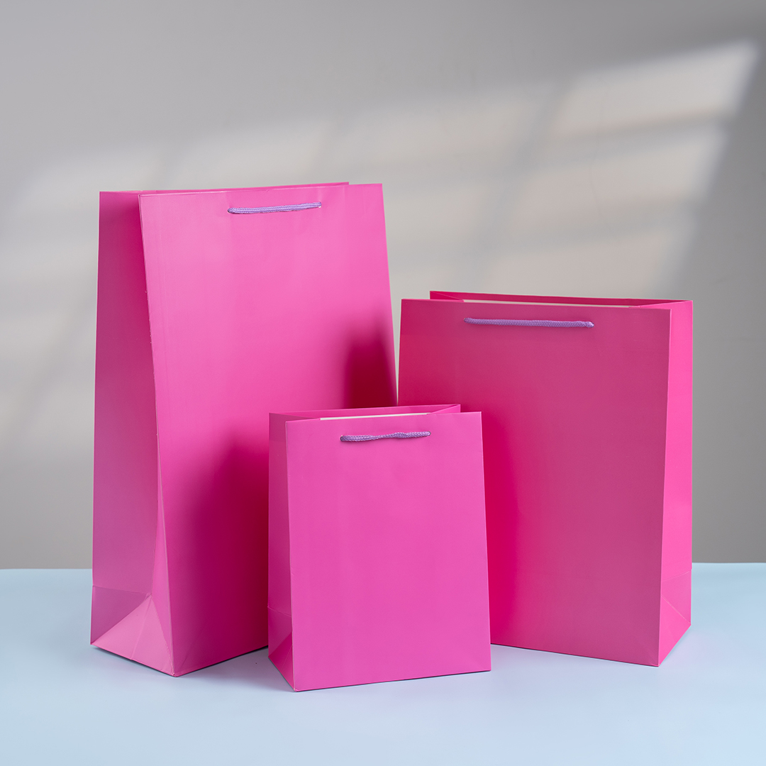 Пакет подарочный, 210гр, Классика, Фуше, 23*18*10 см, 1 шт.