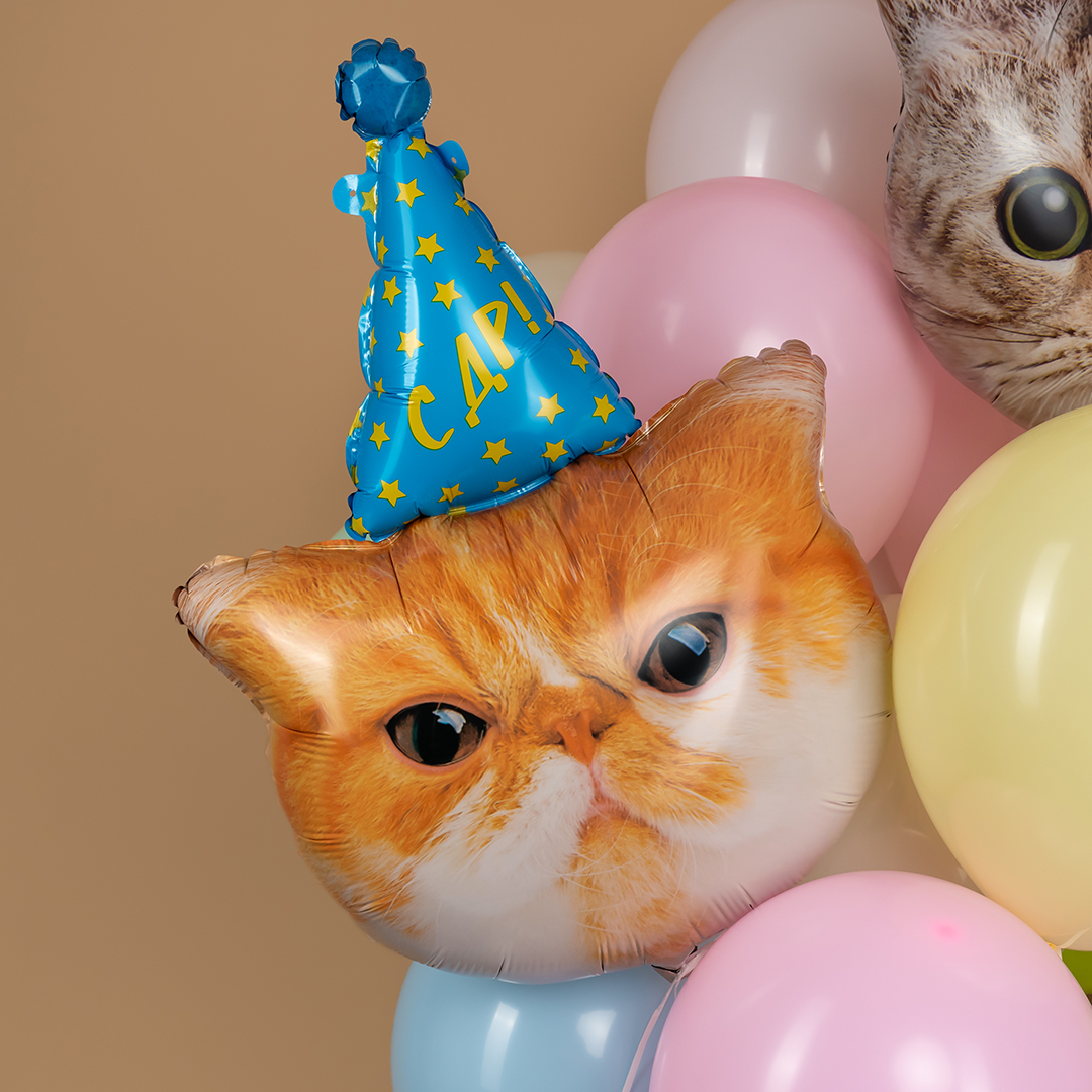 Шар (32''/81 см) Фигура, Котик в колпачке, 1 шт. в уп.