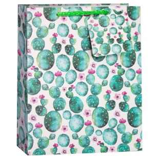 Пакет подарочный, Цветущие кактусы (опунция), Белый, 23*18*10 см, 1 шт.