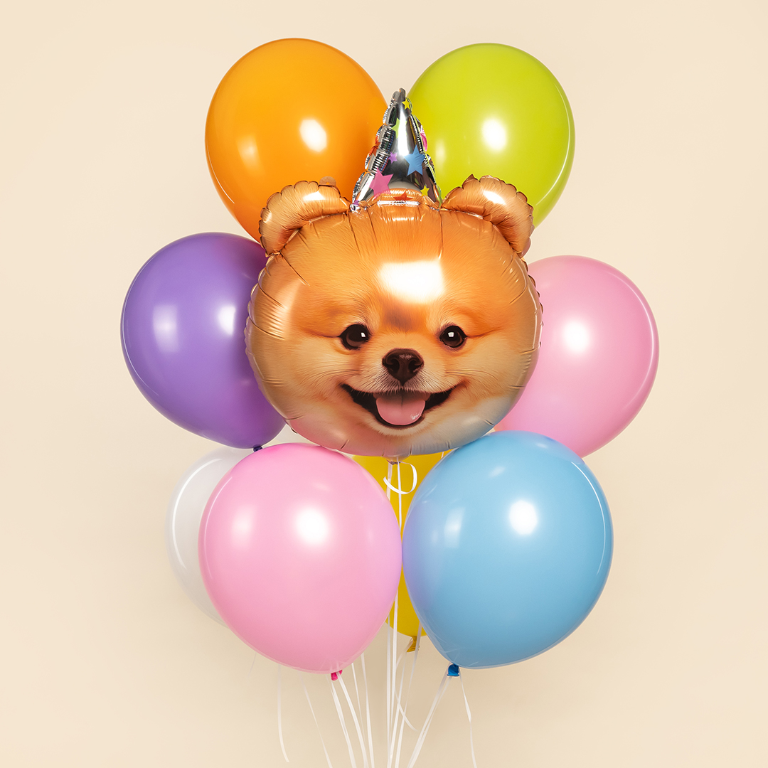 Шар (28''/71 см) Фигура, Собачка в колпачке, 1 шт. в уп.