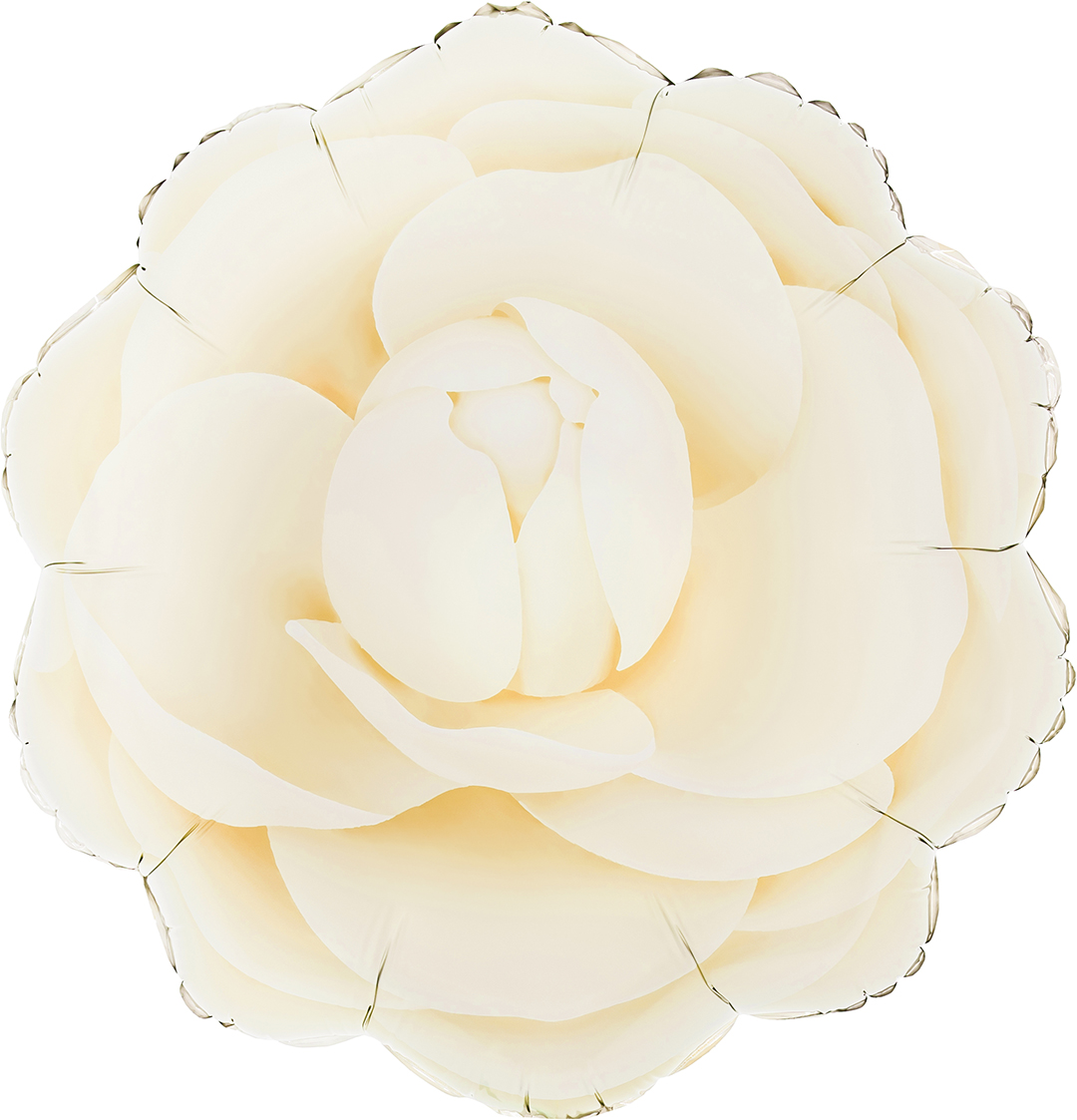 Шар (19''/48 см) Цветок, Камелия, Кремовый, 1 шт.