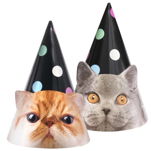 Колпаки, Котики, 6 шт. в упак. 