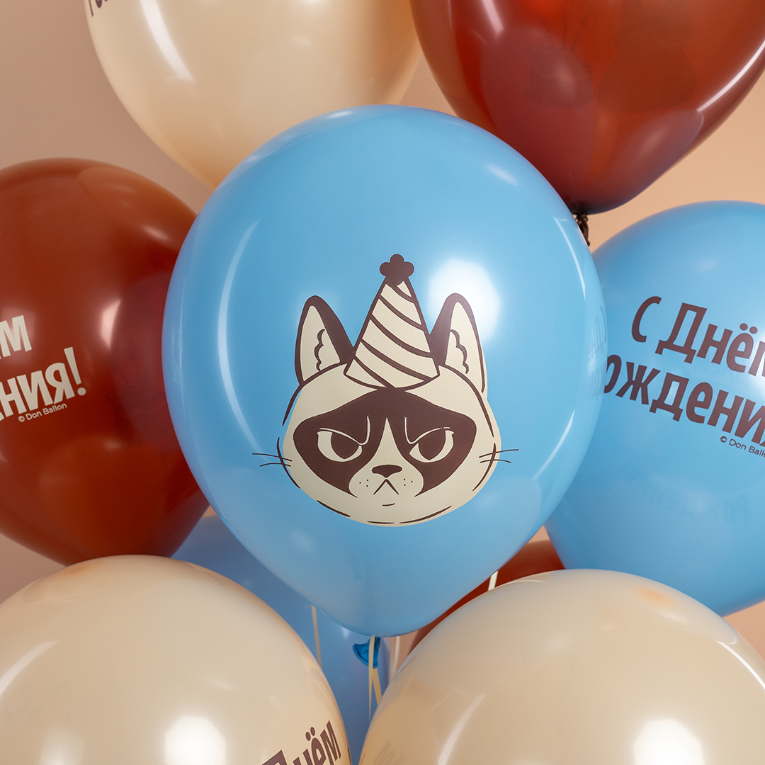 Шар (12''/30 см) С Днем Рождения! (сердитая кошка), Ассорти, пастель, 2 ст, 25 шт.