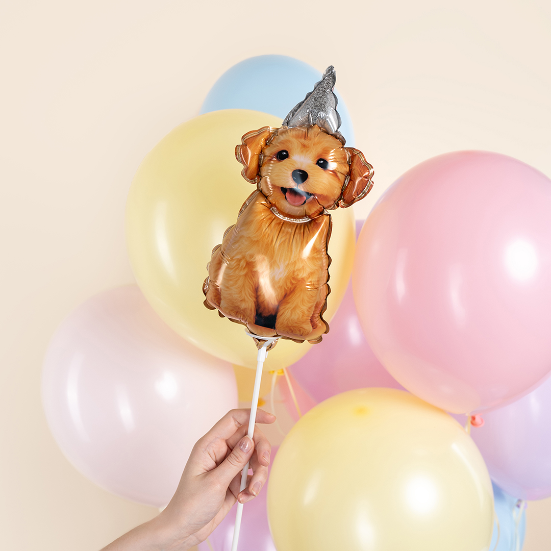 Шар с клапаном (17''/43 см) Мини-фигура, Песик в колпачке, 5 шт. в уп.