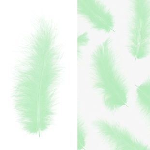 Перья, Премиум, Мятный, 12-15 см, 30 шт.