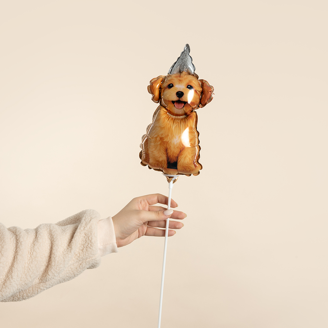 Шар с клапаном (17''/43 см) Мини-фигура, Песик в колпачке, 5 шт. в уп.