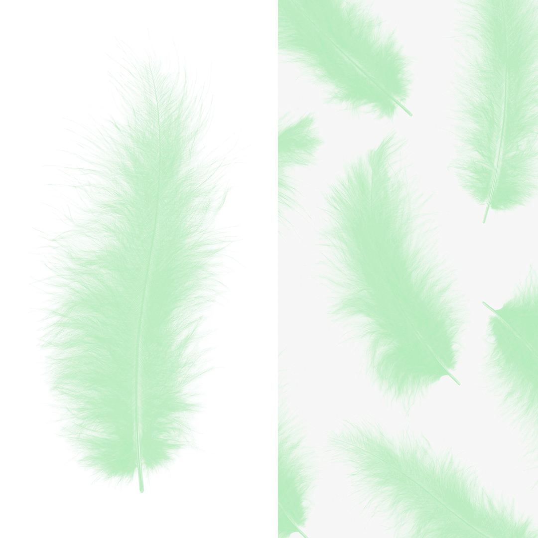 Перья, Премиум, Мятный, 12-15 см, 30 шт.