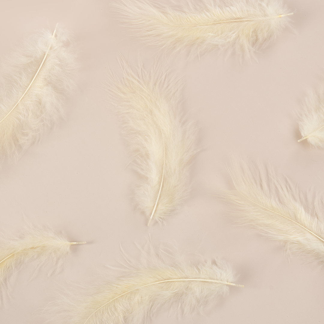 Перья, Премиум, Кремовый, 12-15 см, 30 шт.