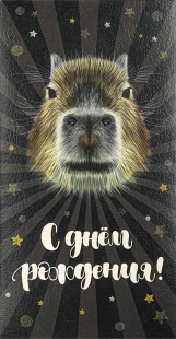 Конверты для денег, С Днем Рождения! (капибара), 10 шт.