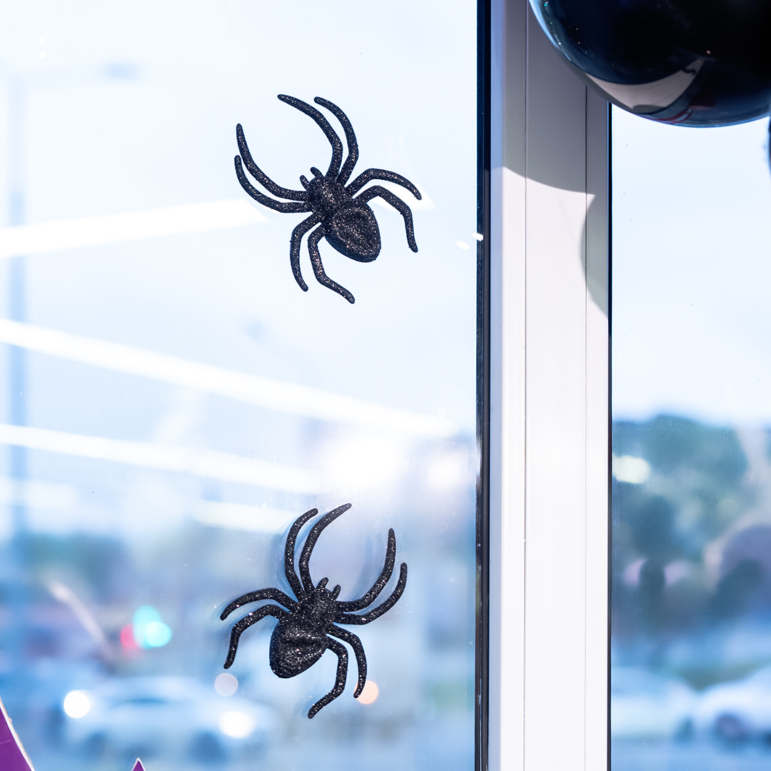Декоративное украшение, Паук, Черный, 11,5*10*2 см, 3 шт.