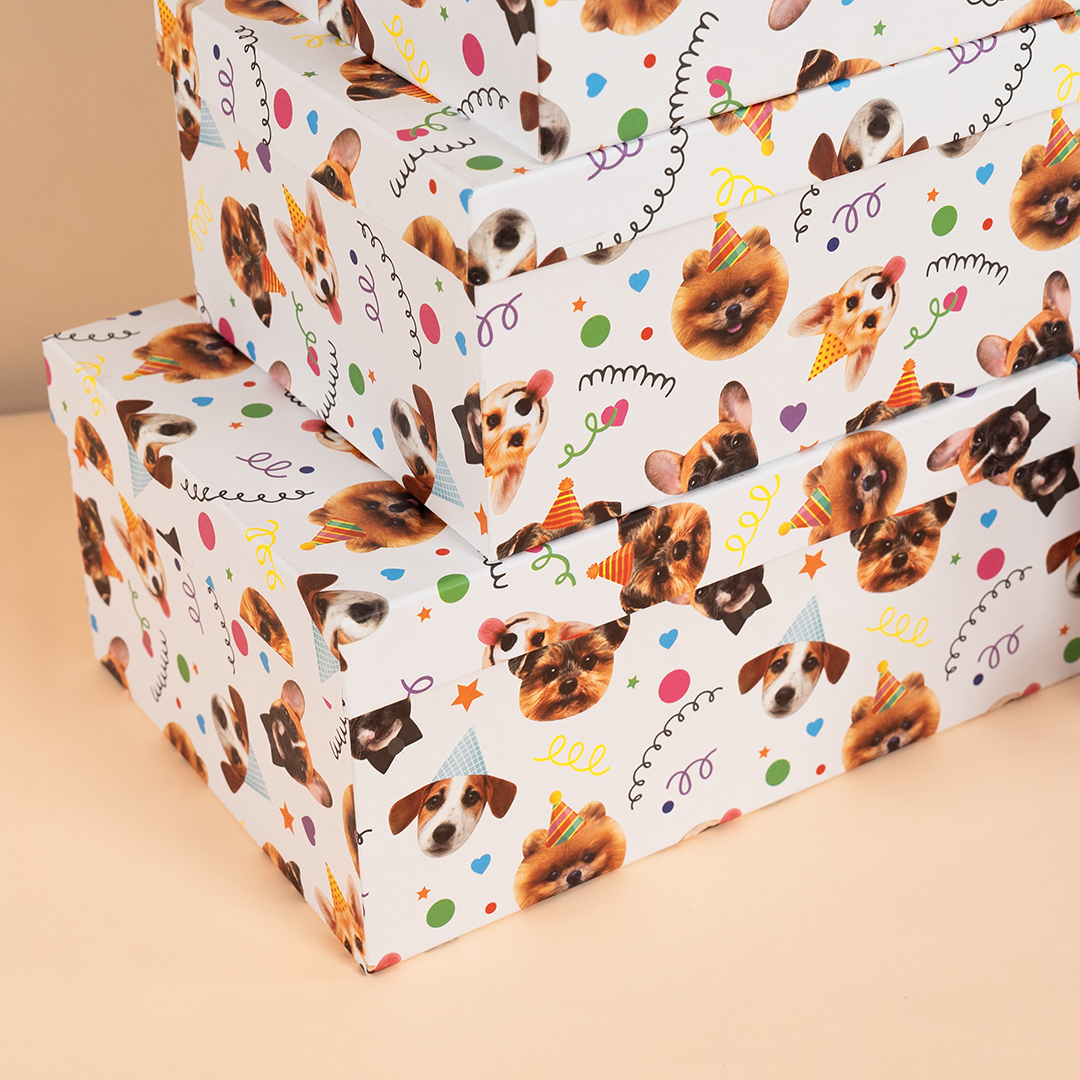 Набор коробок Собачки, 33*20*13 см, 10 шт. в упак. 