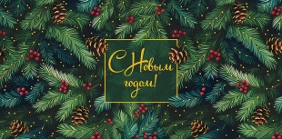 Конверты для денег, С Новым Годом! (еловые ветки), Металлик, 10 шт.