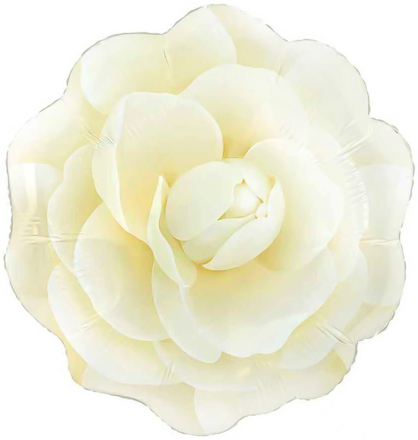 Шар (19''/48 см) Цветок, Камелия, Кремовый, 1 шт. в уп.