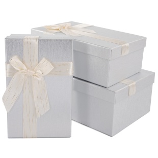 Набор коробок Чудесный подарок, Серебро/Белый, 23*16*9,5 см, 3 шт. в упак. 