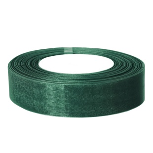 Лента органза (2,5 см*22,85 м) Травяной, 1 шт.