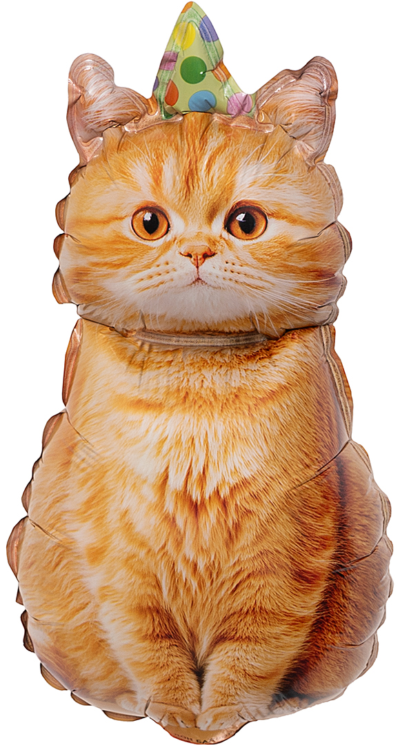Шар с клапаном (17''/43 см) Мини-фигура, Рыжий котик в колпачке, 5 шт. в уп.
