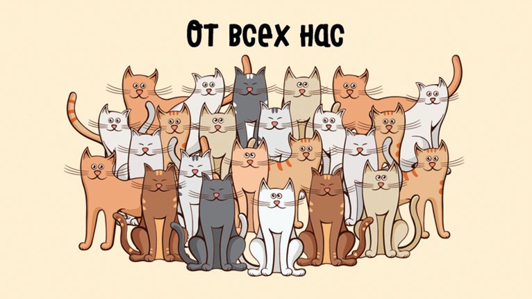 Конверты для денег, От всех нас (котики), 5 шт.