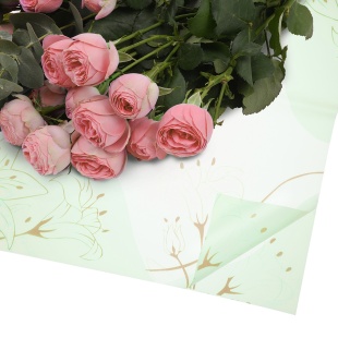 Упаковочная пленка 65мкр (0,58*0,58 м) Золотые цветы, Мятный, 20 шт.