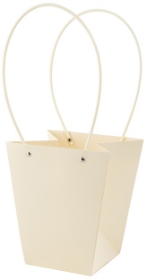 Пакет для цветов, Мастхэв, Нежная пастель, Кремовый, 20*17*12 см, 1 шт.