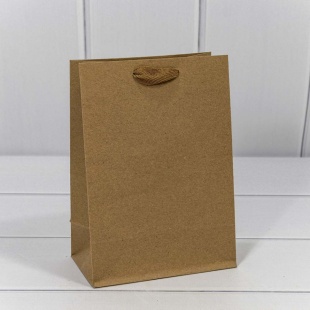 Пакет подарочный, Крафт 170гр, Крафт, 20*14*8 см, 1 шт.