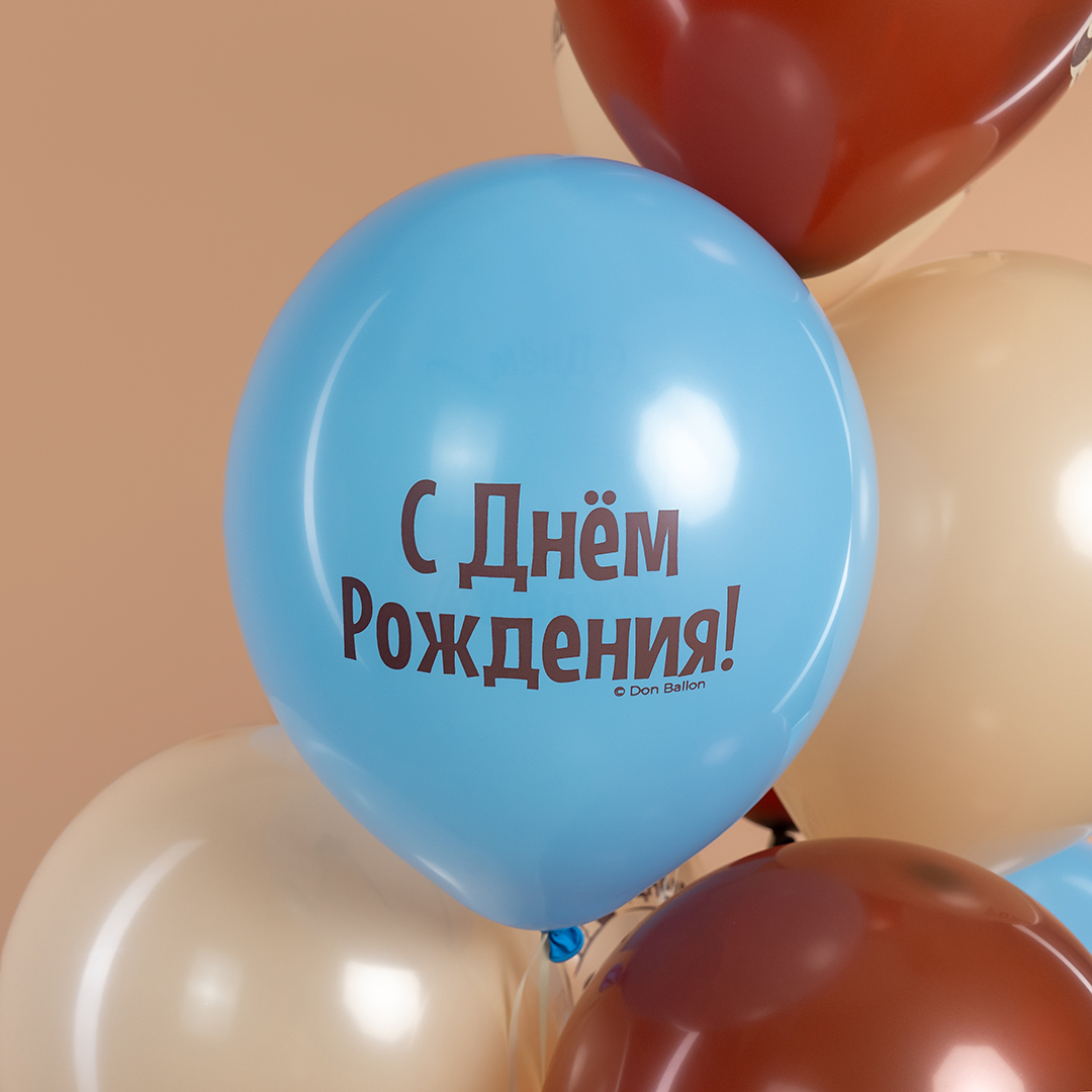 Шар (12''/30 см) С Днем Рождения! (сердитая кошка), Ассорти, пастель, 2 ст, 25 шт.