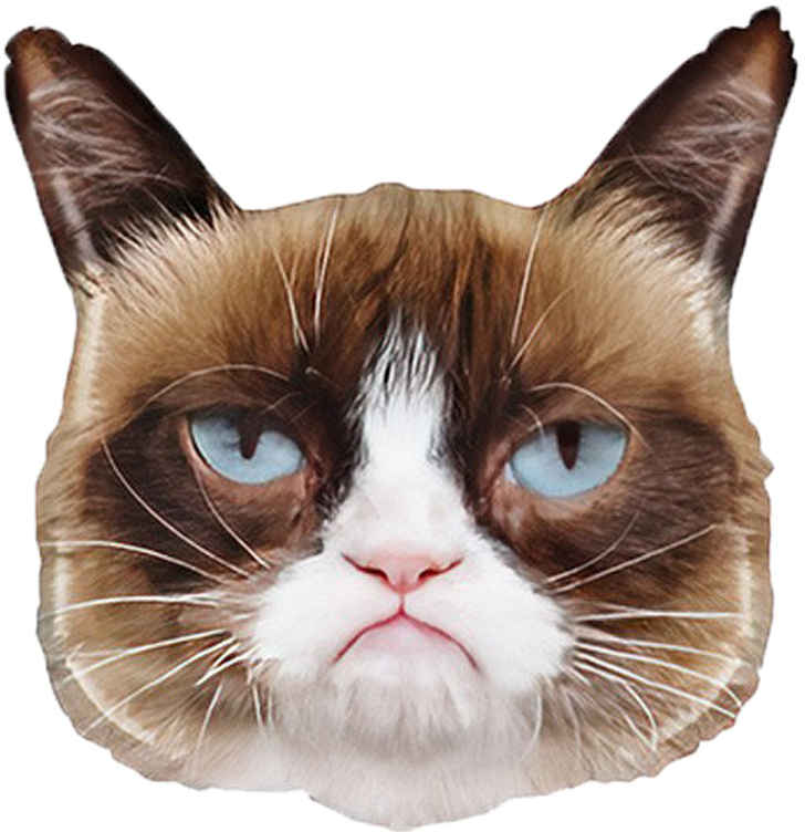 Шар (26''/66 см) Фигура, Сердитая кошка, 1 шт. в уп.