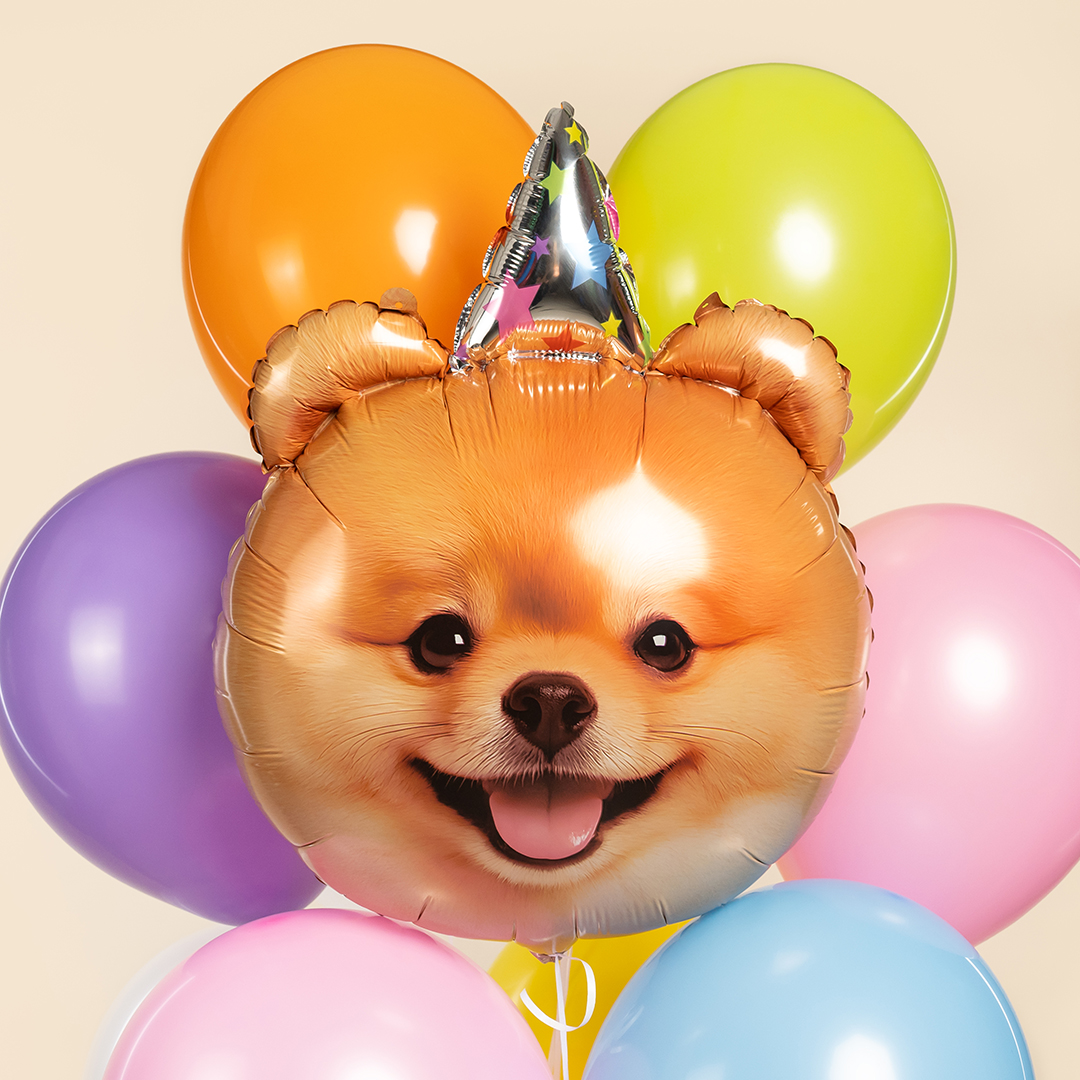 Шар (28''/71 см) Фигура, Собачка в колпачке, 1 шт. в уп.