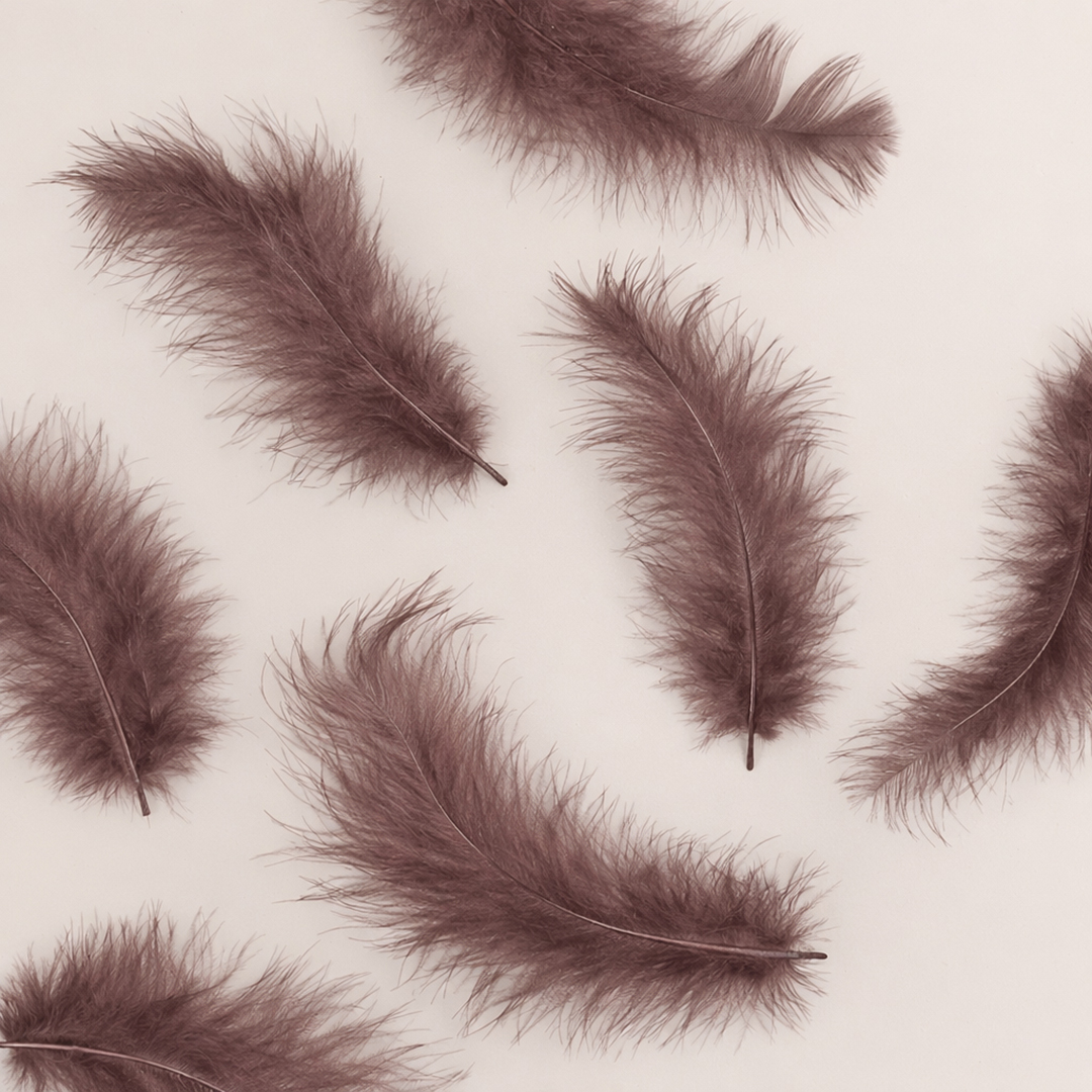 Перья, Премиум, Ретро Какао, 12-15 см, 30 шт.