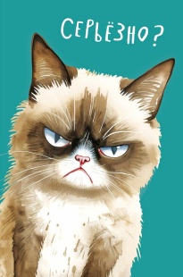Открытка, Серьезно? (сердитая кошка), 12,1*18,3 см, 5 шт.