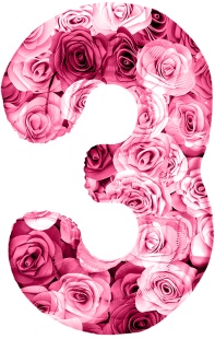 Шар (34''/86 см) Цифра, 3 Симфония роз, Фуше, 1 шт. в уп.