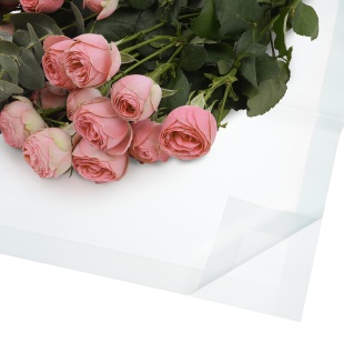 Упаковочная пленка 50мкр (0,58*0,58 м) Широкая кайма, Светло-голубой, 20 шт.