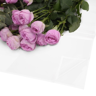 Упаковочная пленка 47мкр (0,57*0,57 м) Узкая кайма, Прозрачный/Белый, Глянец, 20 шт.