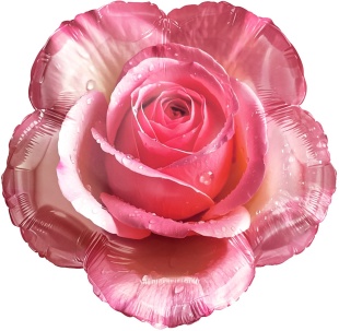 Шар (18''/46 см) Фигура, Утренняя роза, 1 шт. в уп.