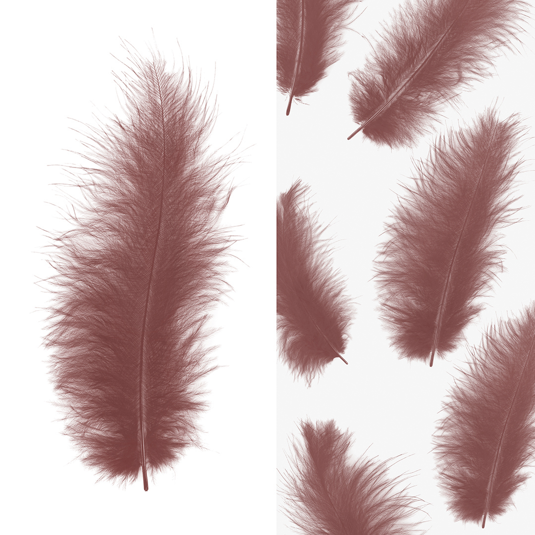 Перья, Премиум, Ретро Какао, 12-15 см, 30 шт.