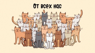 Конверты для денег, От всех нас (котики), 5 шт.