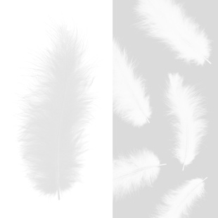 Перья, Премиум, Белый, 12-15 см, 30 шт.