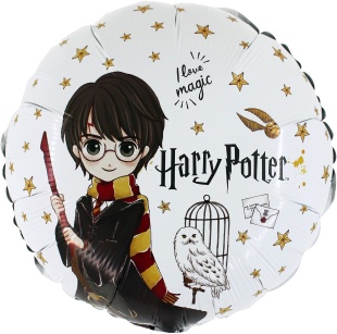 Шар (18''/46 см) Круг, Волшебная школа, 1 шт.
