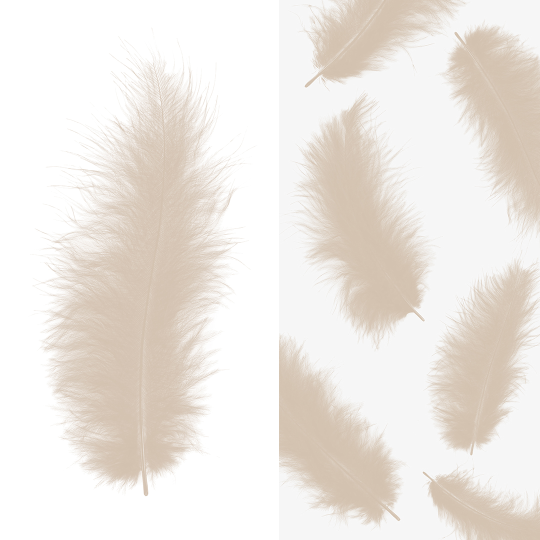 Перья, Премиум, Шампань, 12-15 см, 30 шт.