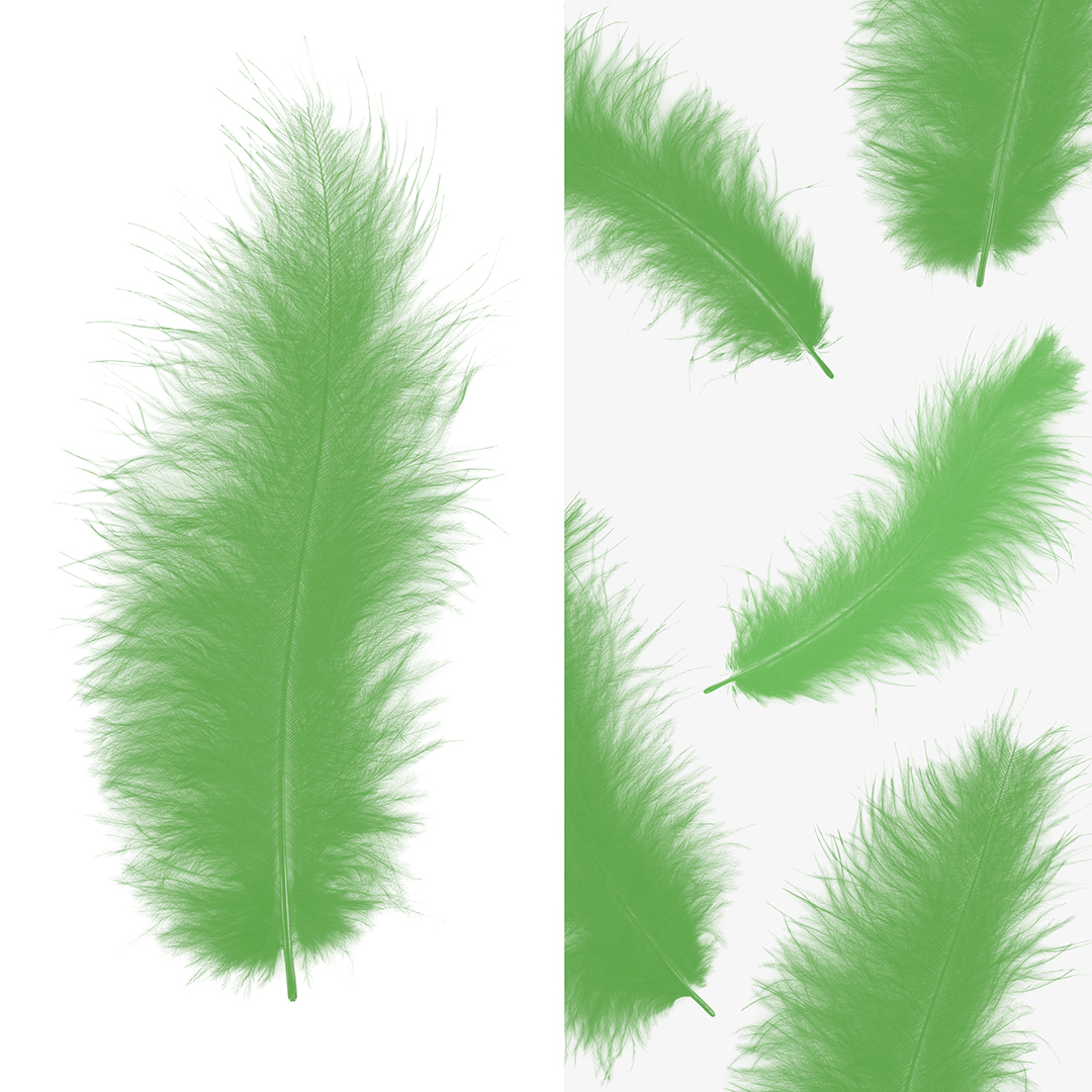 Перья, Премиум, Зеленый, 12-15 см, 30 шт.