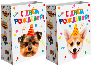 Пакет подарочный, 210гр, Собачка в колпачке, Лаковый, 41*31*12 см, 1 шт.