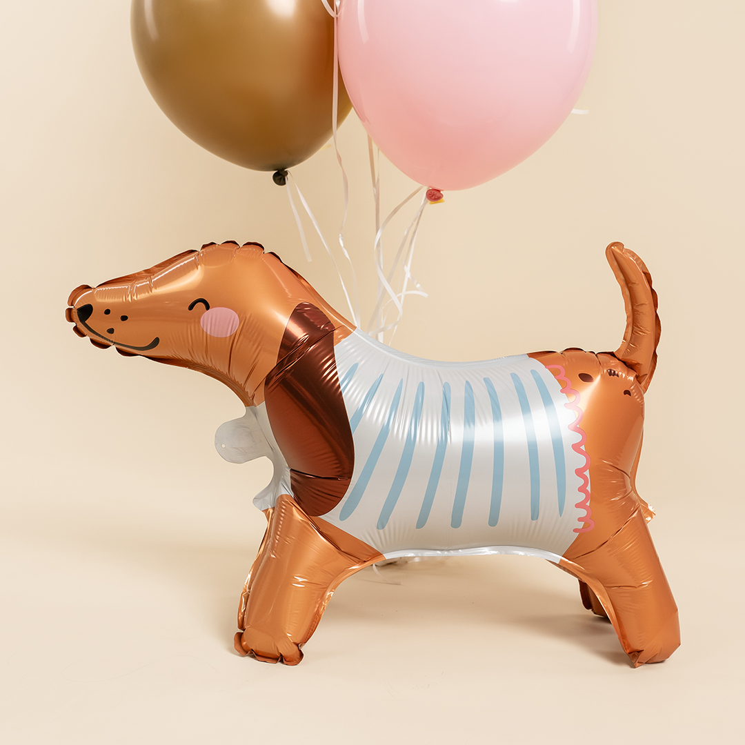 Шар 3D (24''/61 см) Фигура, Таксик в свитере, 1 шт.