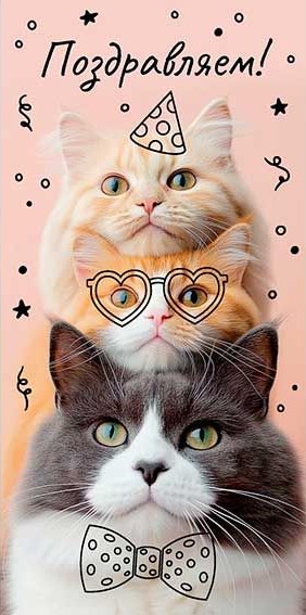Конверты для денег, Поздравляем! (котики), 10 шт.