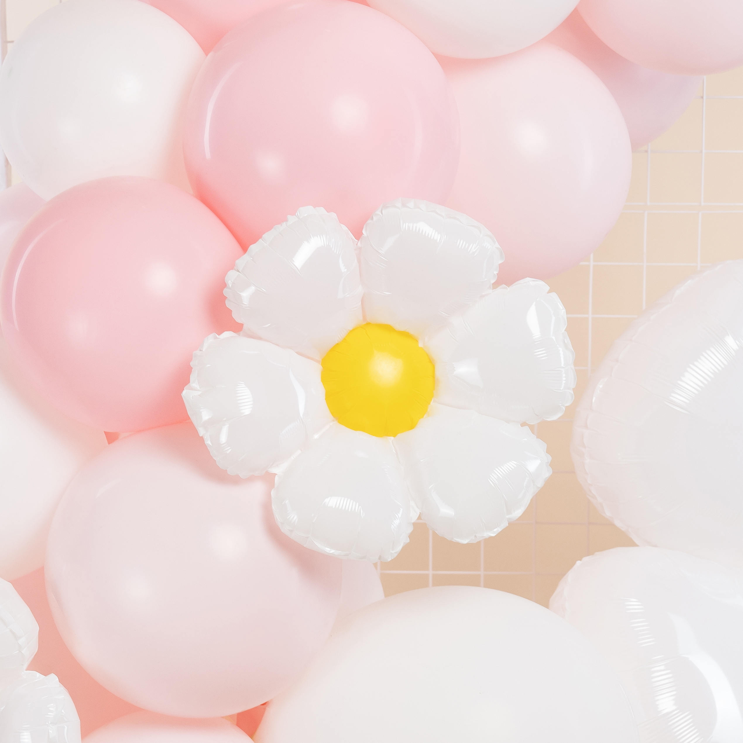 Нежные ромашки