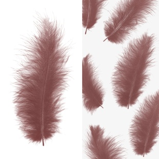 Перья, Премиум, Ретро Какао, 12-15 см, 30 шт.