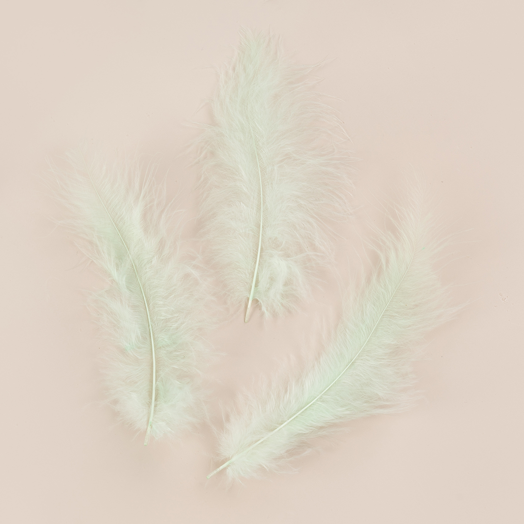 Перья, Премиум, Мятный, 12-15 см, 30 шт.