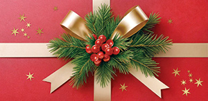 Конверты для денег, Еловые веточки, Красный, 10 шт.