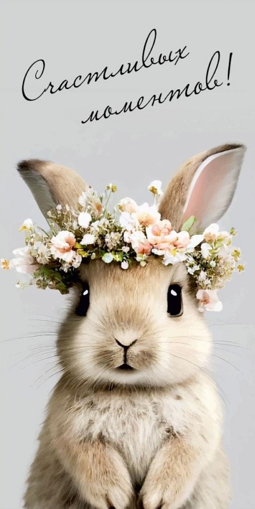 Конверты для денег, Счастливых моментов (зайчик), 10 шт.