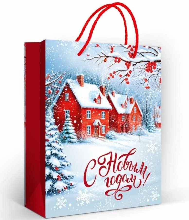 Пакет подарочный, Зимняя сказка (домики), 22,7*18 см, 1 шт.