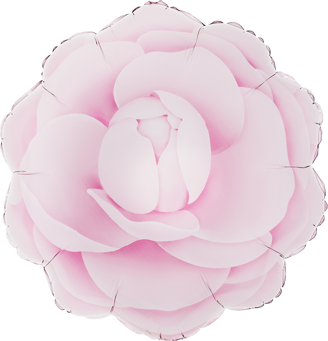 Шар (19''/48 см) Цветок, Камелия, Розовый, 1 шт.