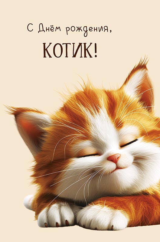 Открытка, С Днем Рождения, Котик!, 12,1*18,3 см, 5 шт.